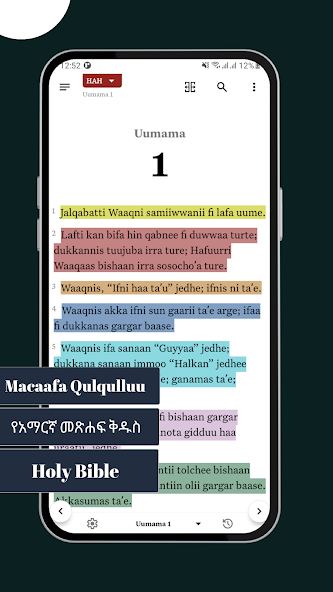 Bible App Mockup